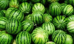 湖北网红吃瓜事件真相,揭秘背后真相与争议