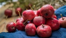 空心山楂爆料视频播放,视频爆料背后的真相与争议